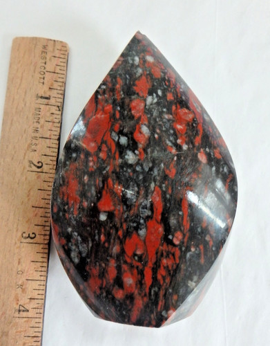 Beautiful fossil coral - fossil, 🌼